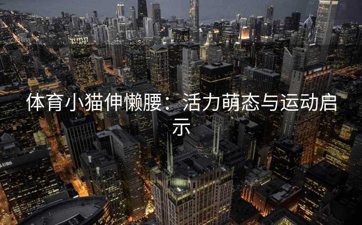 体育小猫伸懒腰：活力萌态与运动启示