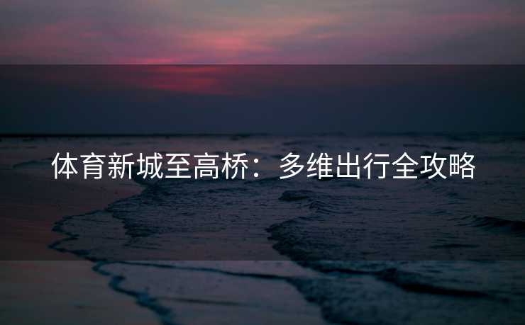 体育新城至高桥:多维出行全攻略 体育新城至高桥:多维出行全攻略