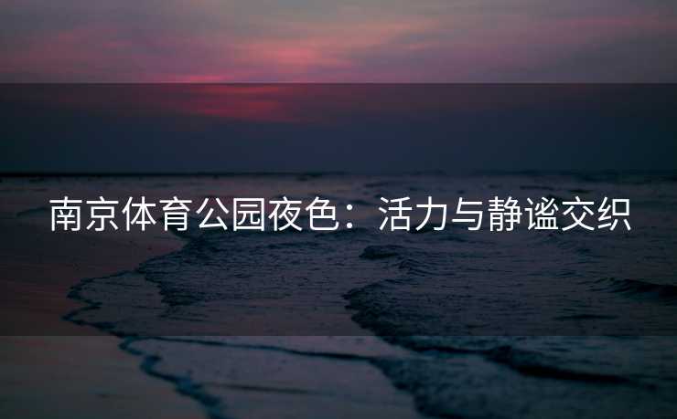 南京体育公园夜色：活力与静谧交织